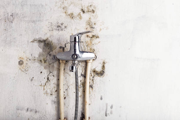 Best Mold Testing  in Gladstone, MI