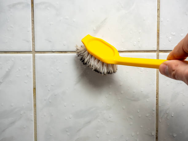 Best Attic Mold Removal  in Gladstone, MI