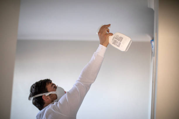 Mold Removal Process in Gladstone, MI